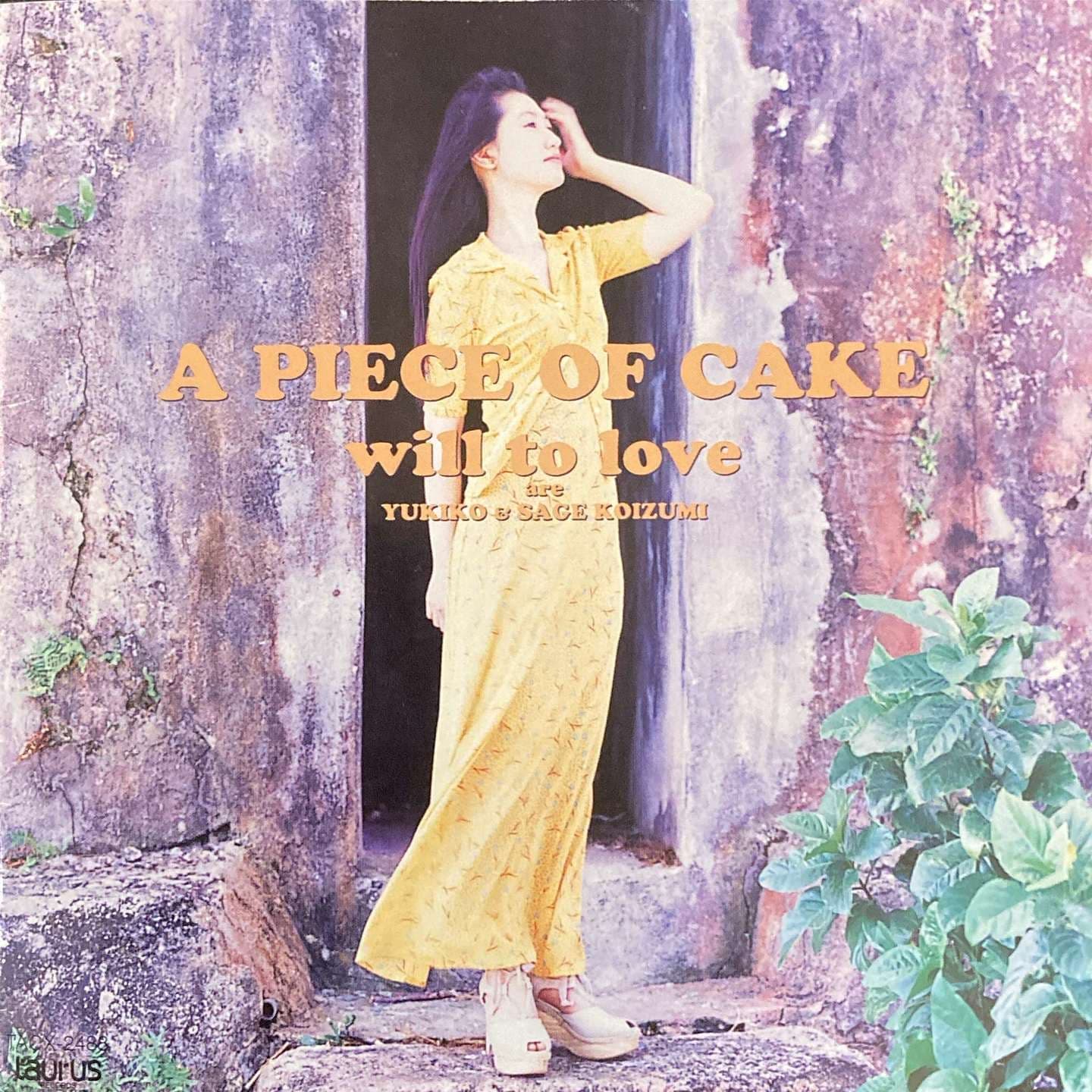 A PIECE OF CAKE / will to love